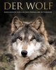 Der Wolf: Faszinierende Einblicke und spektakuläre Fotografien